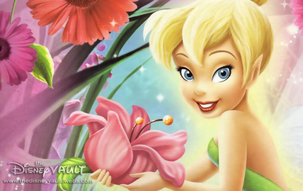 Tinkerbell ve Peri Kızı Doğum Günü